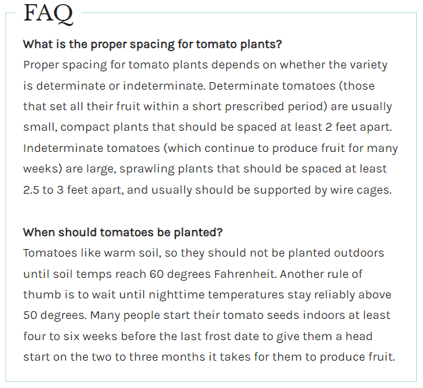 Create Faq Section Create Faq Section