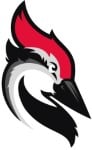 Mailshake Logo Woodpecker Logo