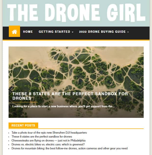 The Drone Girl The Drone Girl