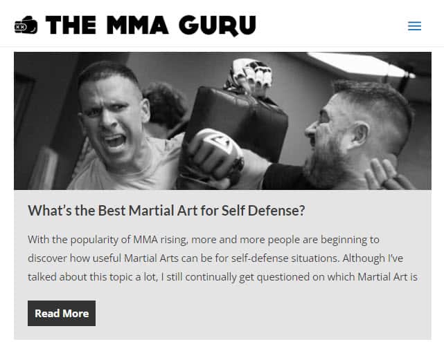 The Mma Guru The Mma Guru