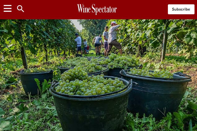 Wine Spectator Wine Spectator