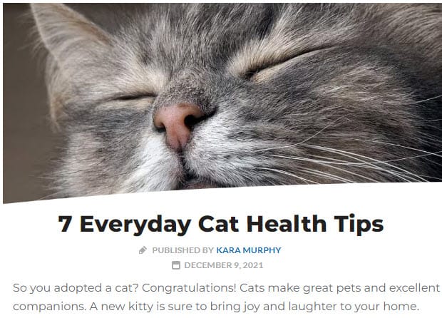 Pet Blog Pet Care Tips Post Pet Blog Pet Care Tips Post Example
