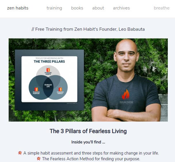 Zen Habits Blog Zen Habits Blog Example