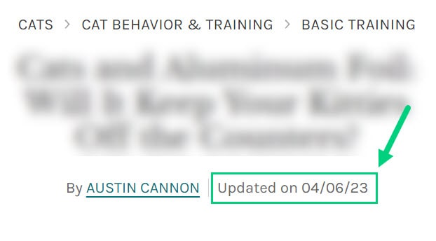 Blog Post Meta Published Date Blog Post Meta Published Date